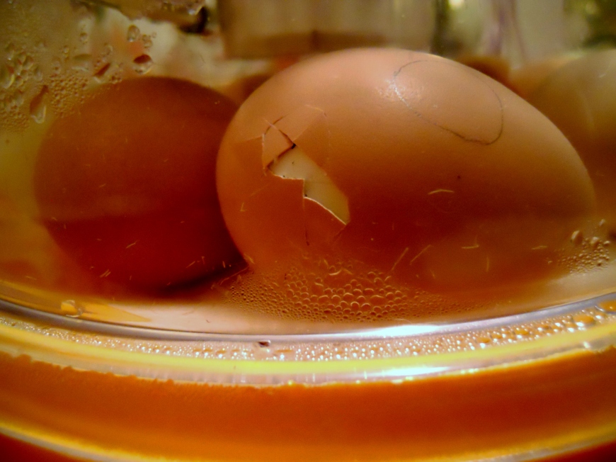 Chicken Egg Pipping